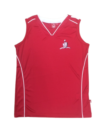 Camiseta baloncesto 1º Equip. Vizcaya